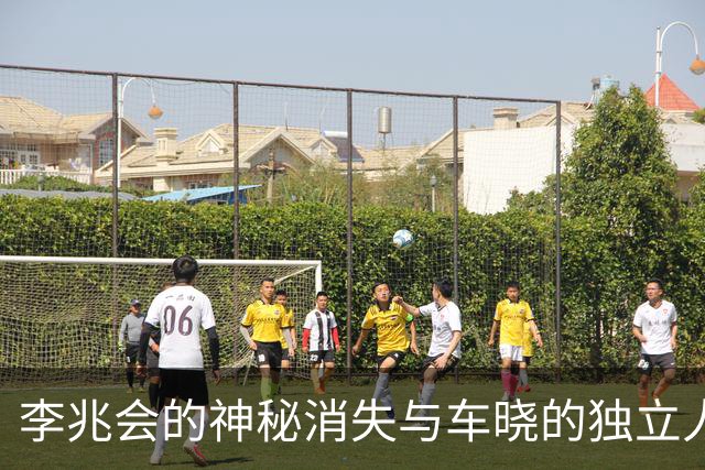 李兆会的神秘消失与车晓的独立人生